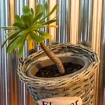 La Fuente A Apartamento *