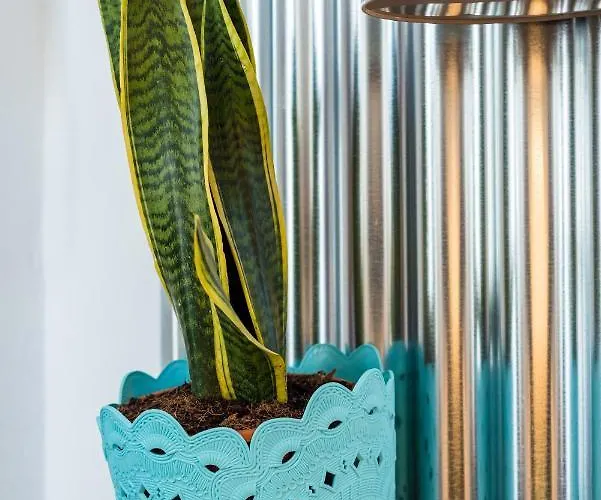 La Fuente A 公寓 *